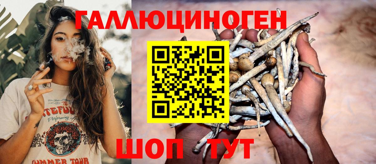 Истра  Псилоцибиновые грибы Magic Shrooms  Вход с VPN  Галлюциногенные грибы мухоморы 