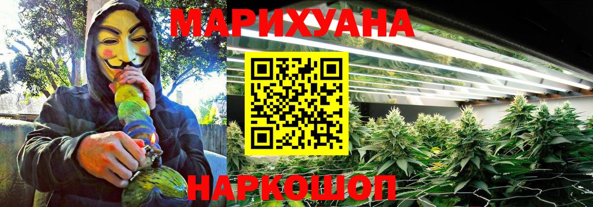 Конопля гибрид Истра